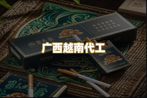 广西越南代工